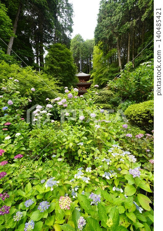 Landscape with hydrangeas Landscape with hydrangeas 140485421