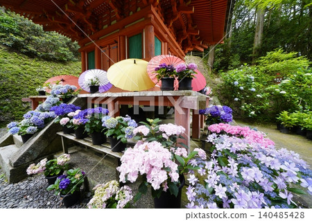 風景與繡球花 風景與繡球花 140485428