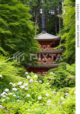 Landscape with hydrangeas Landscape with hydrangeas 140485443