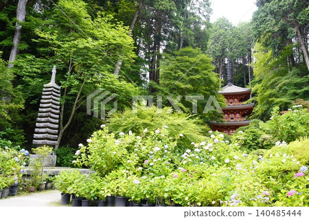 風景與繡球花 140485444