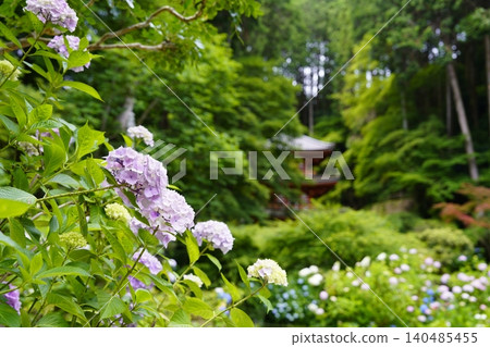 風景與繡球花 風景與繡球花 140485455