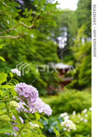 風景與繡球花 風景與繡球花 140485456