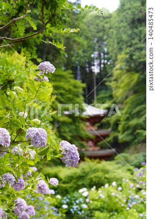 風景與繡球花 140485473