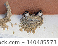 Swallow's Nest 01 140485573