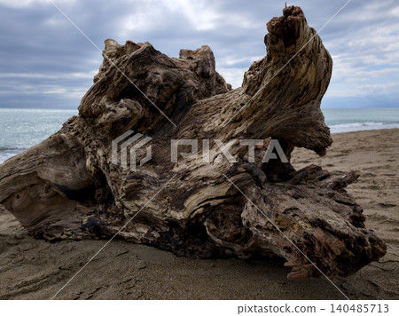 natural driftwood log lying on a beautiful coast natural driftwood log lying on a beautiful coast 140485713