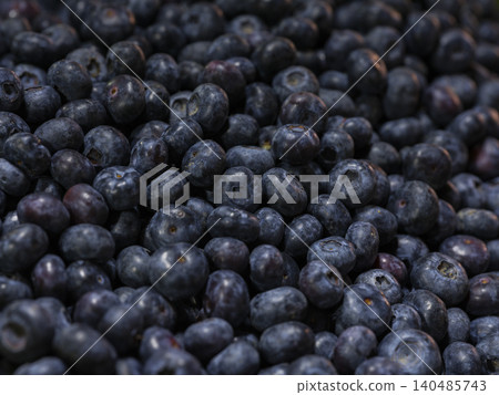 close-up of healthy blueberries close-up of healthy blueberries 140485743
