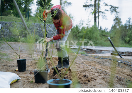 A teenage boy plants a dogwood shrub on their countryside property A teenage boy plants a dogwood shrub on their countryside property 140485887