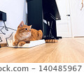 ginger tabby cat laying on vacuum cleaner charger at home 140485967
