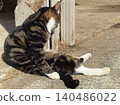 A stray cat basking in the sun while hunched over. 140486022