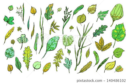 Leaves sketches set. Hand-drawn different textured herbs Leaves sketches set. Hand-drawn different textured herbs 140486102