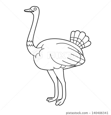Easy coloring cartoon vector illustration of an ostrich isolated on white background 140486341