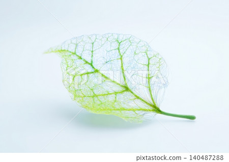 Leaf structure displays fiber optic strands with intricate vein patterns Leaf structure displays fiber optic strands with intricate vein patterns 140487288