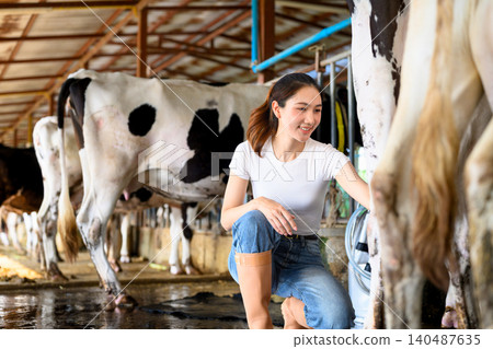 Cleaning cow udder before milking process in dairy farm barn 140487635