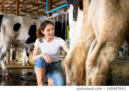 Cleaning cow udder before milking process in dairy farm barn Cleaning cow udder before milking process in dairy farm barn 140487641