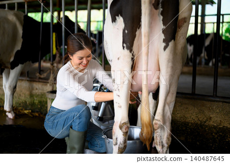 Dairy worker woman attaching milking machine to cow udder in dairy farm production process Dairy worker woman attaching milking machine to cow udder in dairy farm production process 140487645