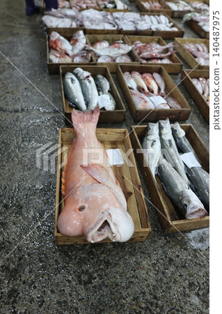 Fresh Fish Display at Market Stall Fresh Fish Display at Market Stall 140487975