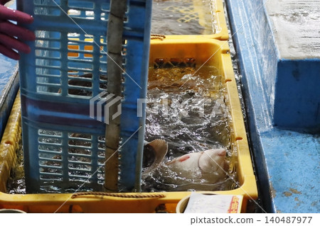 Fish in Yellow Container at Market Fish in Yellow Container at Market 140487977