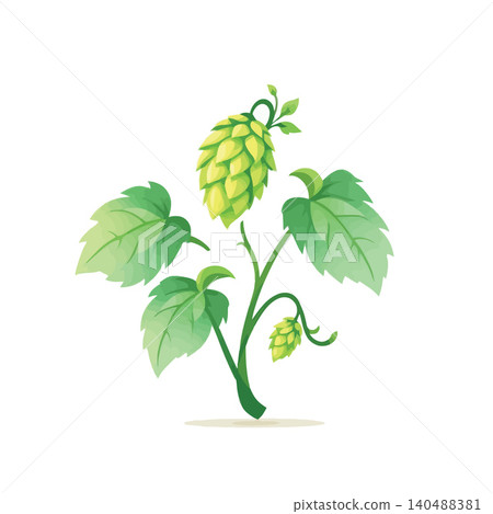 Vsai green hop plant growing with leaves and cones Vsai green hop plant growing with leaves and cones 140488381