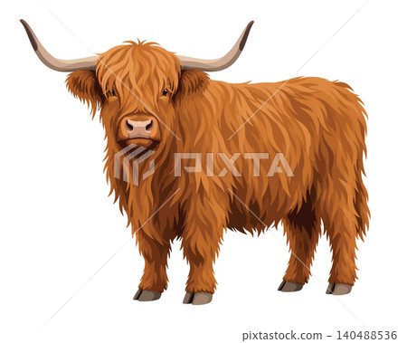 Vsai highland cattle standing in full length Vsai highland cattle standing in full length 140488536
