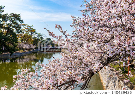 A landscape with cherry blossoms (April, sunny) A landscape with cherry blossoms (April, sunny) 140489426