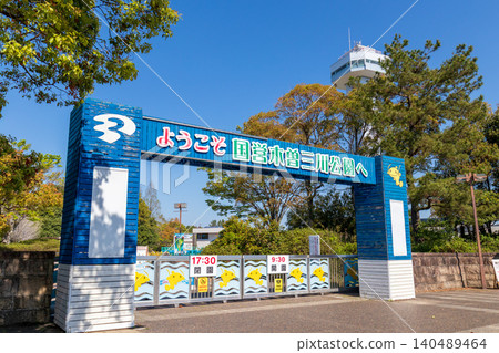 公園裡鬱金香盛開(四月,陽光明媚) 公園裡鬱金香盛開(四月,陽光明媚) 140489464