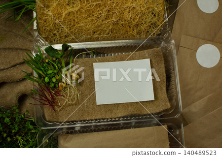 Microgreens seed kit with sprouting mats, kraft bags and plastic trays top view. Indoor microgreens cultivation set in open cardboard box ready for home delivery. Microgreens seed kit with sprouting mats, kraft bags and plastic trays top view. Indoor microgreens cultivation set in open cardboard box ready for home delivery. 140489523