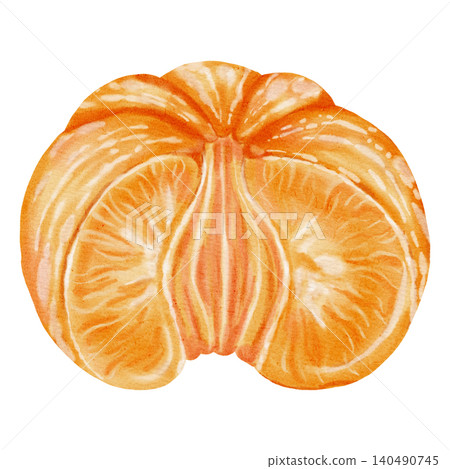 Peeled tangerine. Watercolor illustration of an orange mandarin. A tropical citrus fruit. Perfect for New Year designs, packaging, greeting cards, kitchen decor and branding, and food blogs Peeled tangerine. Watercolor illustration of an orange mandarin. A tropical citrus fruit. Perfect for New Year designs, packaging, greeting cards, kitchen decor and branding, and food blogs 140490745