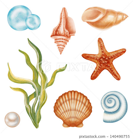 Collection watercolor illustrations of marine elements, including various shells, pearl in a shell, starfish, seaweed. Children's, marine, and travel themes. Suitable for prints, postcards, sea travel Collection watercolor illustrations of marine elements, including various shells, pearl in a shell, starfish, seaweed. Children's, marine, and travel themes. Suitable for prints, postcards, sea travel 140490755