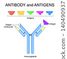 Antibody and antigen specificity. Lock and key binding mechanism for immune response. 140490937