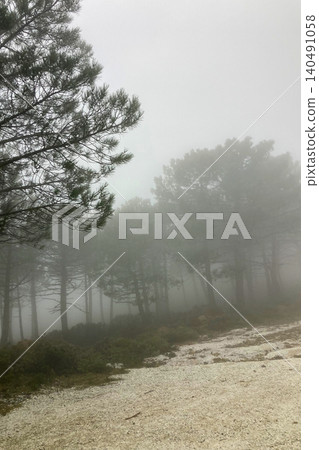 Foggy hiking trail leading toward Sierra Bermeja and the Reales peaks with misty mountain atmosphere near Estepona, Spain. Foggy hiking trail leading toward Sierra Bermeja and the Reales peaks with misty mountain atmosphere near Estepona, Spain. 140491058