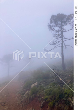 Foggy hiking trail leading toward Sierra Bermeja and the Reales peaks with misty mountain atmosphere near Estepona, Spain. Foggy hiking trail leading toward Sierra Bermeja and the Reales peaks with misty mountain atmosphere near Estepona, Spain. 140491060