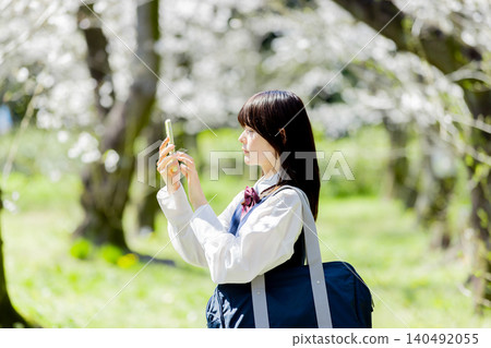 A spring scene of high school girls using their smartphones under cherry blossoms on their way to school. A spring scene of high school girls using their smartphones under cherry blossoms on their way to school. 140492055