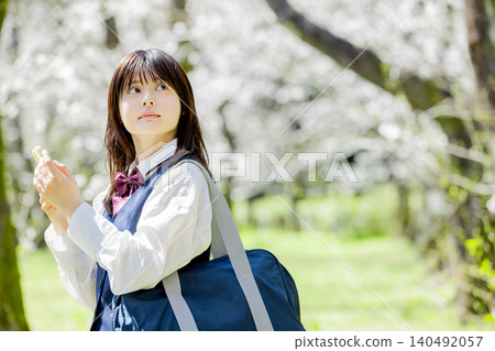 A high school girl gazes at spring under a row of cherry trees, smartphone in hand. 140492057