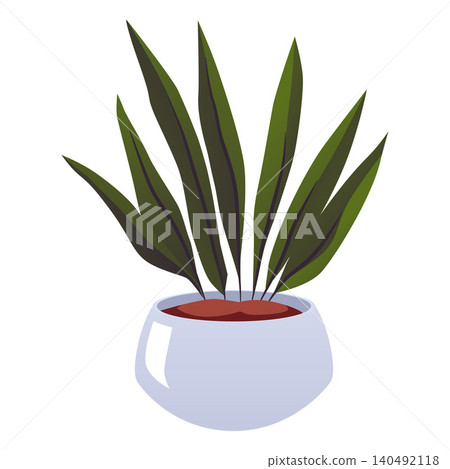 A houseplant in a white pot with long, narrow, green leaves. 140492118