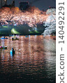 Cherry blossoms illuminated at night and boating at Chidorigafuchi 140492291