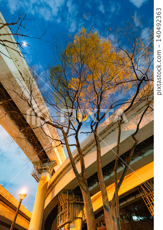 The Metropolitan Expressway Inner Circular Route and cherry blossoms stretching into the night sky 140492363
