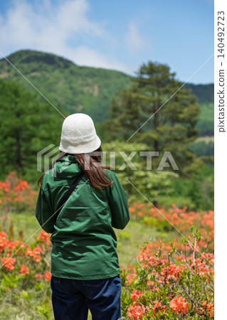 A woman admiring rhododendrons in early summer at Yunomaru Plateau. 140492723