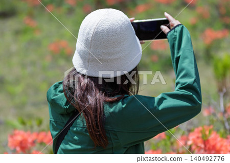 A woman photographs rhododendrons in early summer at Yunomaru Plateau. A woman photographs rhododendrons in early summer at Yunomaru Plateau. 140492776