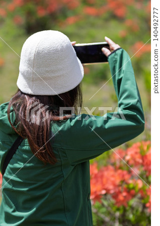 A woman photographs rhododendrons in early summer at Yunomaru Plateau. A woman photographs rhododendrons in early summer at Yunomaru Plateau. 140492777