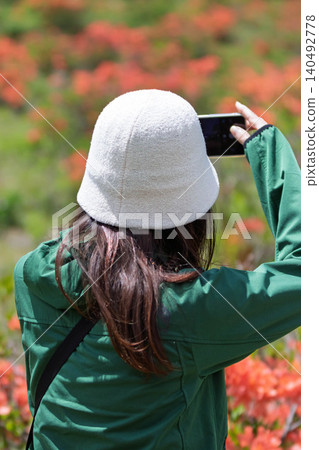 A woman photographs rhododendrons in early summer at Yunomaru Plateau. A woman photographs rhododendrons in early summer at Yunomaru Plateau. 140492778