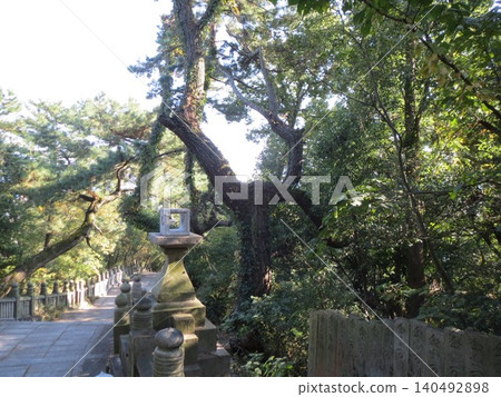 2014, Kagawa, Kanonji, Hachiman, Scenery, Shrine, Kotobiki Hachimangu Shrine, Part 153 2014, Kagawa, Kanonji, Hachiman, Scenery, Shrine, Kotobiki Hachimangu Shrine, Part 153 140492898