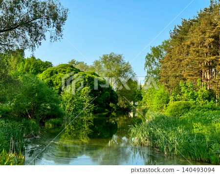 Peaceful summer park landscape with lush green trees and tall grasses reflecting in calm pond. Calm water mirrors the vibrant foliage and clear blue sky. Peaceful summer park landscape with lush green trees and tall grasses reflecting in calm pond. Calm water mirrors the vibrant foliage and clear blue sky. 140493094