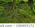 Kanazawa, Japan - Oct 6 2024, A close-up view of the ground covered with moss and grass, covered with tree roots, in Kenroku-en Park, at daytime, Kanazawa, Japan 140493172