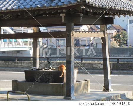 2014年，香川縣，觀音寺，八幡宮，風景，神社，琴引八幡宮，第160部 140493208