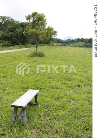 A bench sits alone in a grassy field. Green grass. A scene of tranquility. A bench sits alone in a grassy field. Green grass. A scene of tranquility. 140493251