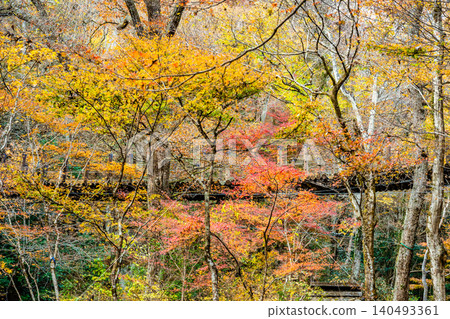Hananuki Valley in Ibaraki Prefecture, ablaze with autumn colors. Hananuki Valley in Ibaraki Prefecture, ablaze with autumn colors. 140493361