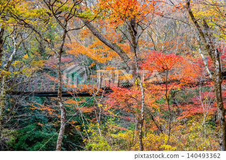 Hananuki Valley in Ibaraki Prefecture, ablaze with autumn colors. Hananuki Valley in Ibaraki Prefecture, ablaze with autumn colors. 140493362