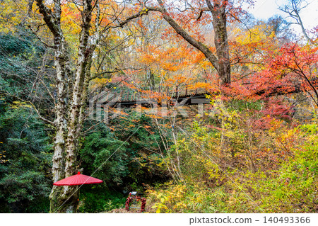 Hananuki Valley in Ibaraki Prefecture, ablaze with autumn colors. 140493366