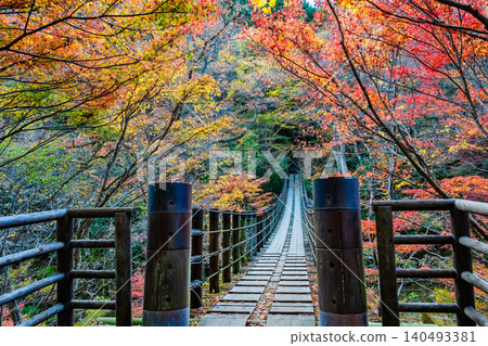 Hananuki Valley in Ibaraki Prefecture, ablaze with autumn colors. 140493381
