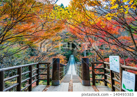 Hananuki Valley in Ibaraki Prefecture, ablaze with autumn colors. Hananuki Valley in Ibaraki Prefecture, ablaze with autumn colors. 140493383